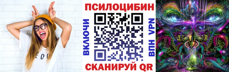 дарнет шоп  Куртамыш  Псилоцибиновые грибы GOLDEN TEACHER 